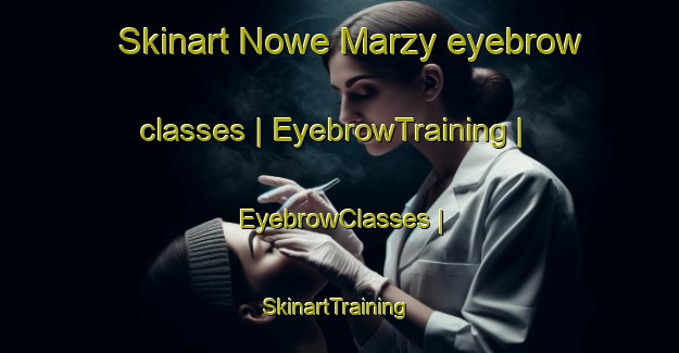Skinart Nowe Marzy eyebrow classes | EyebrowTraining | EyebrowClasses | SkinartTraining-Poland